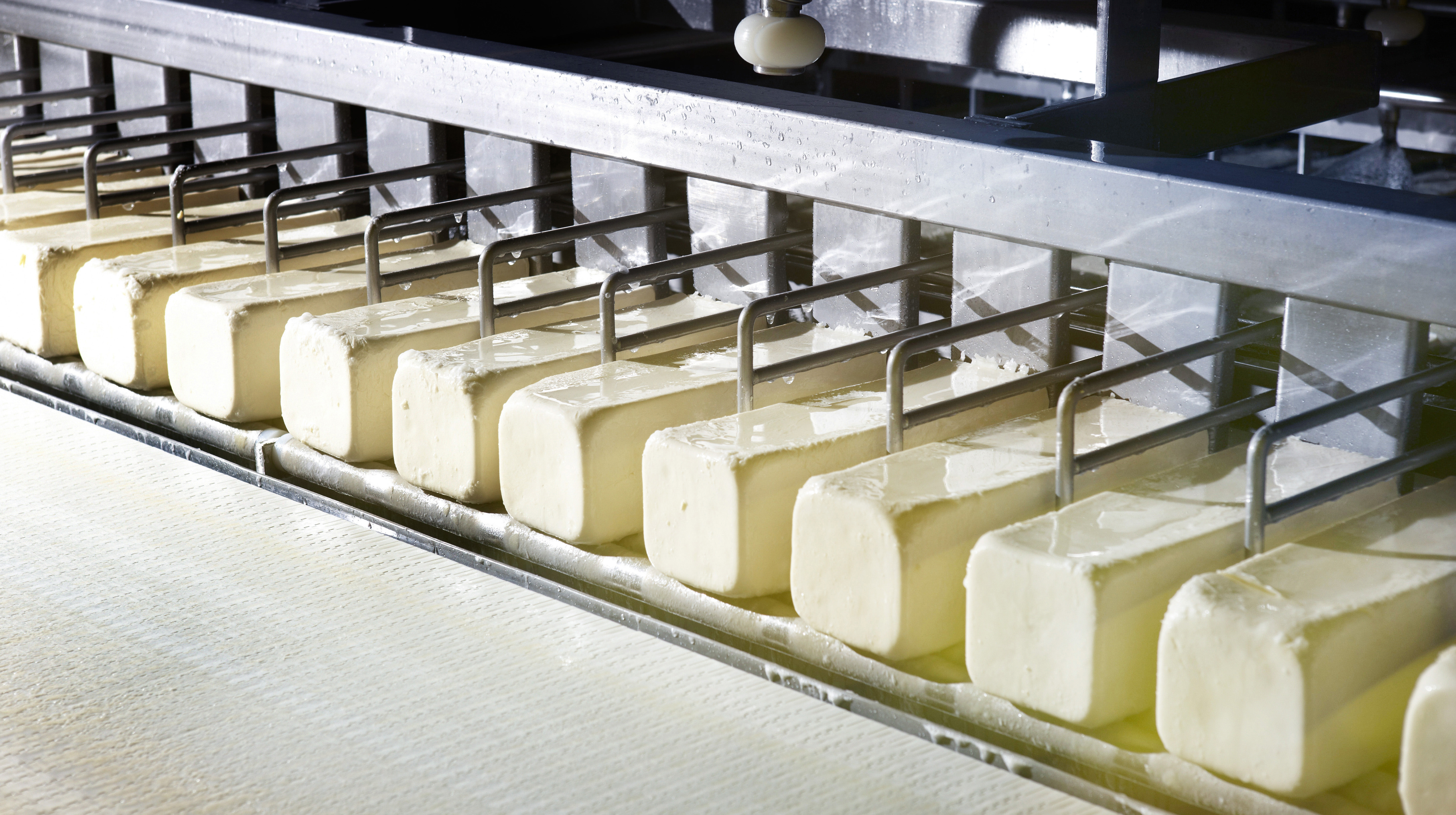 Milcobel Premium Ingredients: why the world imports Belgian dairy 