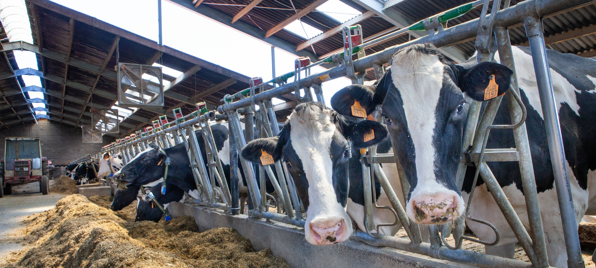Sustainability in the dairy sector continues year after year