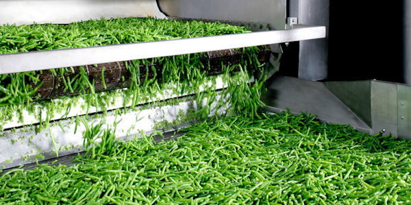 Frozen vegetables: fresh and straight from the field