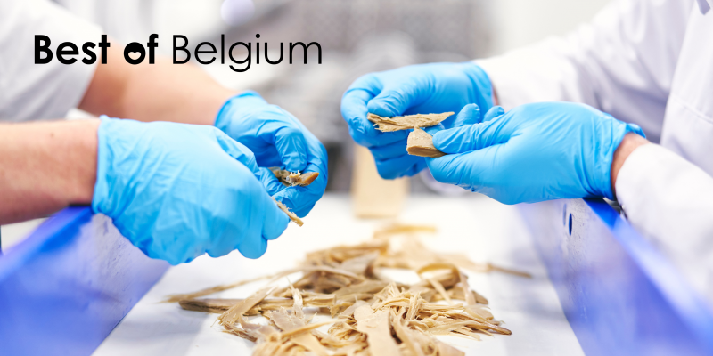 Solina: Enabling the savoury food industry to widespread plant-based food Solina: Enabling the savoury food industry to widespread plant-based food
