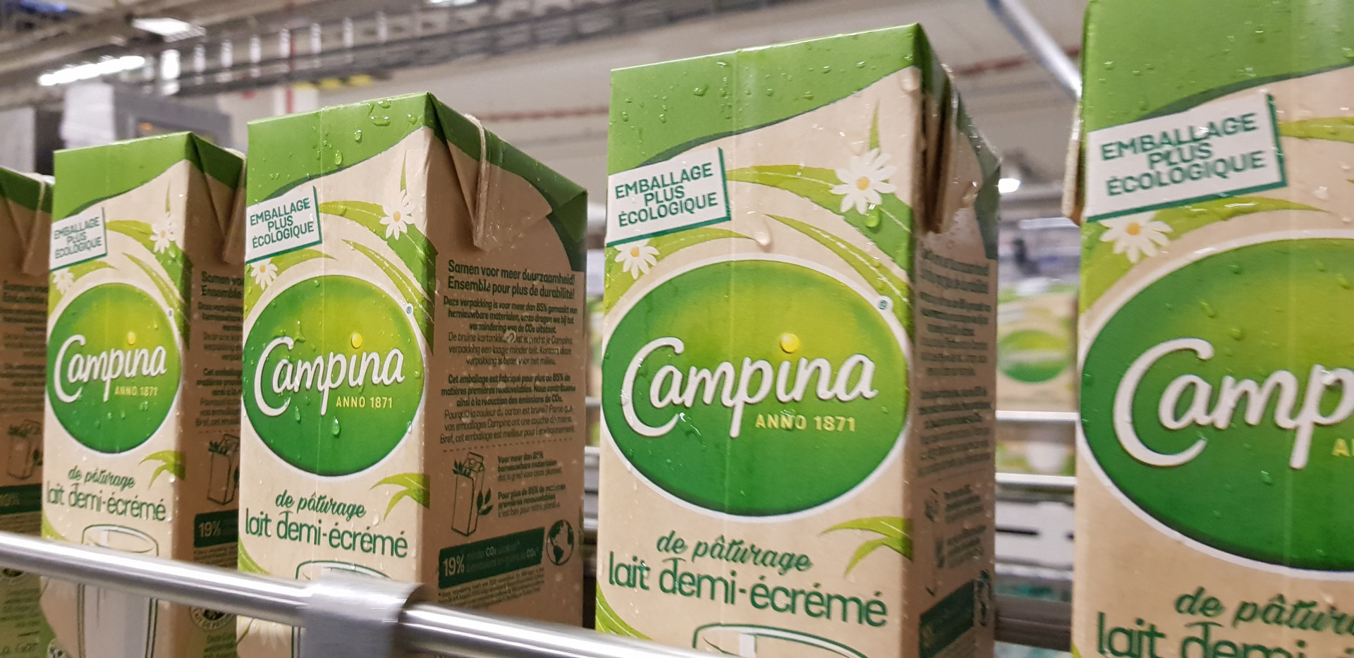 friesland-campina-brands-our-brands